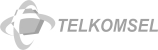 Telkomsel Network Operator